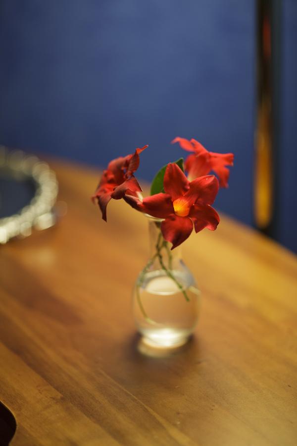 Hotel Relais Filonardi Veroli 외부 사진